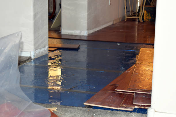 Professional Water Damage Restoration technician working in Holly Springs, MS